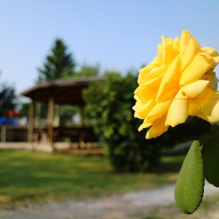 Agriturismo Ai Vigneti Понті-суль-Мінчіо Екстер'єр фото
