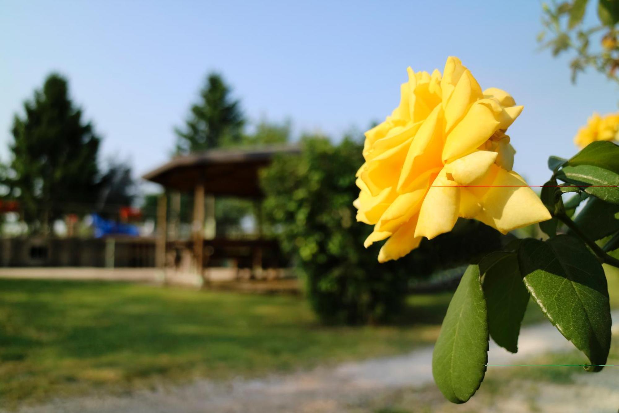 Agriturismo Ai Vigneti Понті-суль-Мінчіо Екстер'єр фото